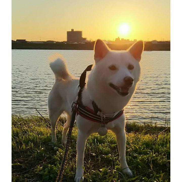 973a7293 17a6 44ea 86a9 644db4358f76 1538990041322