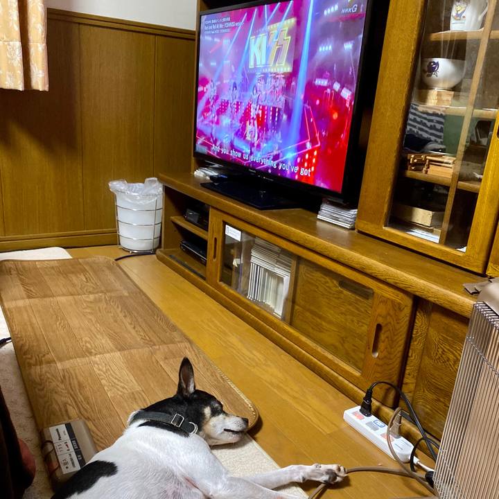 973a8de7 bddc 45d3 9041 ad98a06dc468 1577796170579