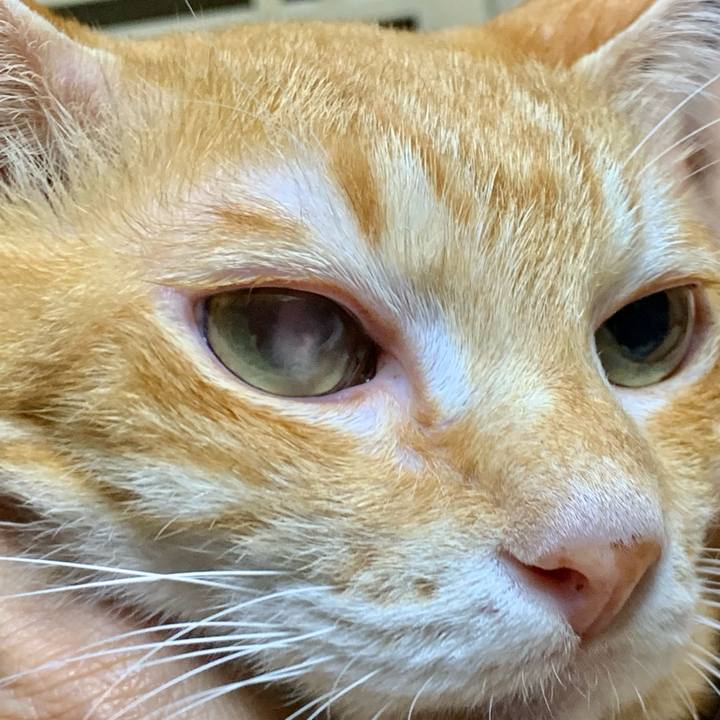 973abcca cc11 4e12 b421 05b6ad30e9df 1627647521589