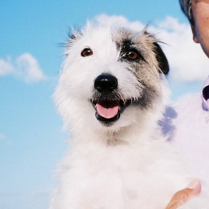 973af38c 3c7c 4531 997b 5244f78dcdf1 1607244369532