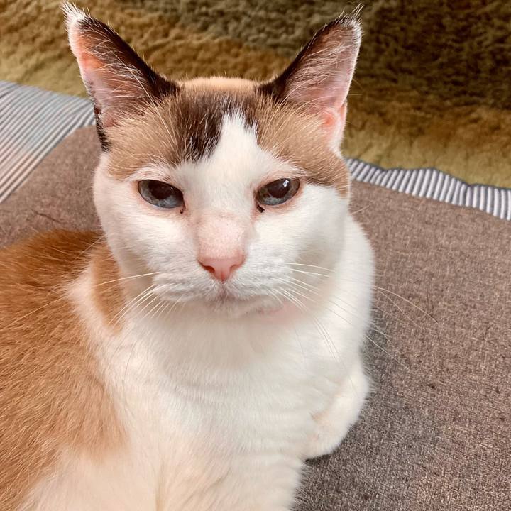 973b112b e24b 48d6 8ec4 b64b48121ef4 1662635673805