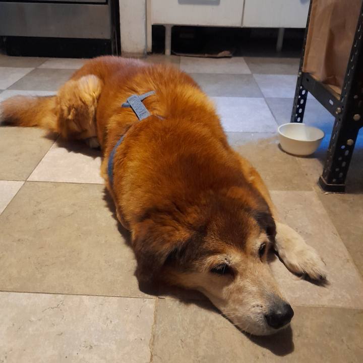 973b2be0 cd19 4377 b1bf 1af96884459c 1757935141702