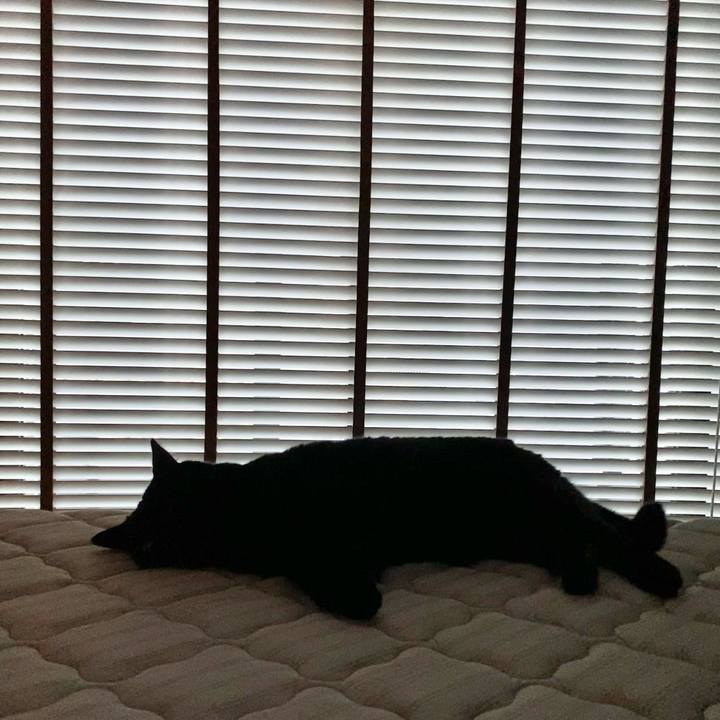 973b3777 8ab2 4b9a b33f da65bc5c7c08 1634025225554