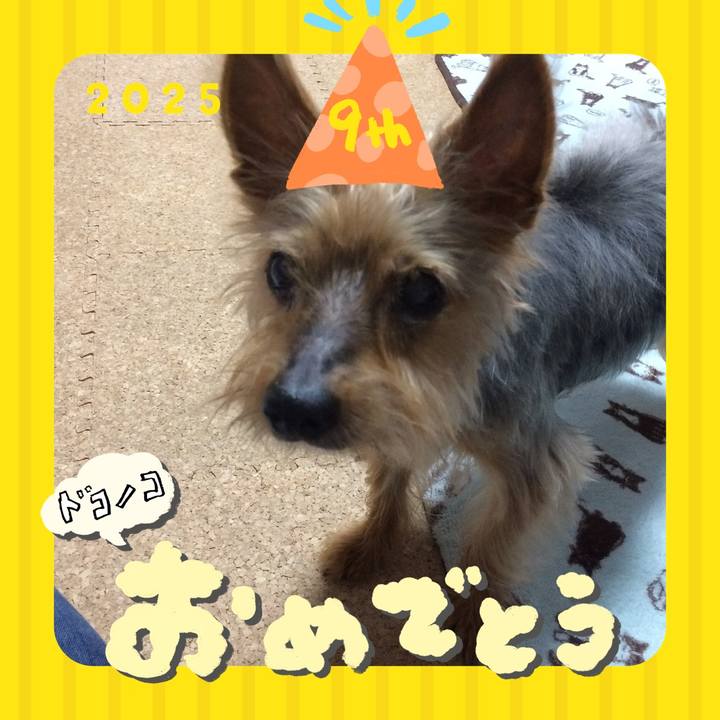 973b76d7 eabe 4b25 acc1 d4d55920981d 1749100116227