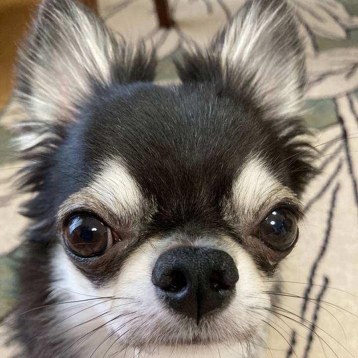 973c5205 7d12 4d68 9148 c80afb9b6219 1628458442350