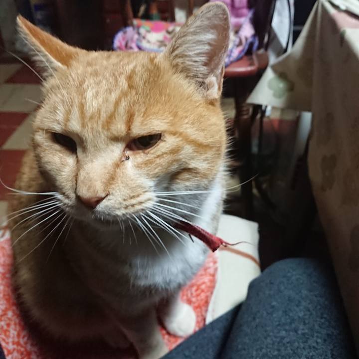 973c7e73 b081 4c6d 843c e06b06333cb6 1576094315546