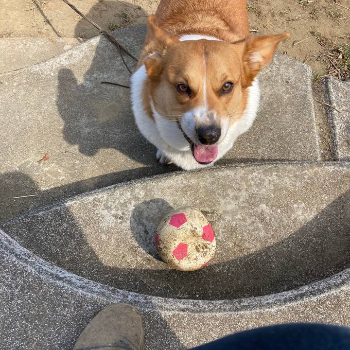 973ccbda f876 4463 a9d2 bfb8bf439499 1646956905169