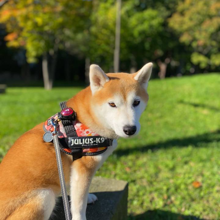 973d7cf1 1b40 4c77 b14c b7176b847db6 1665622509986