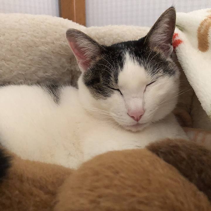 973dc986 815e 4caf 9b00 c7bf3e23486a 1640179396458