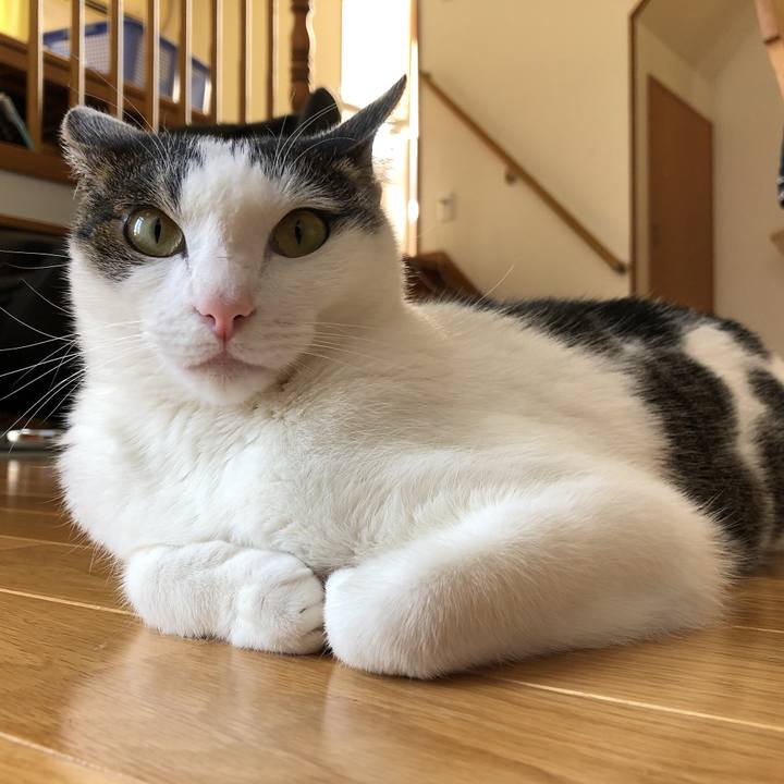 973df1a7 a149 4579 95b4 deb37a1b78e5 1624952084310