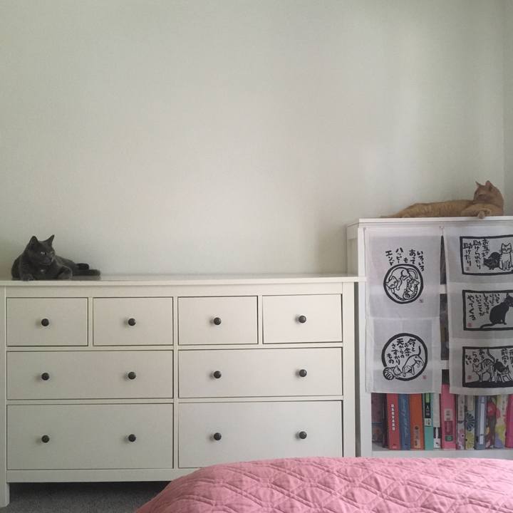 973dfda0 44b6 4d39 8721 40ff09354607 1655165490669