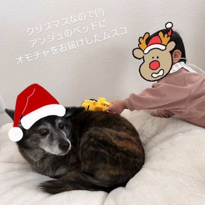 973e0b98 4ea0 4793 bb13 f595ae1f44be 1734996994209