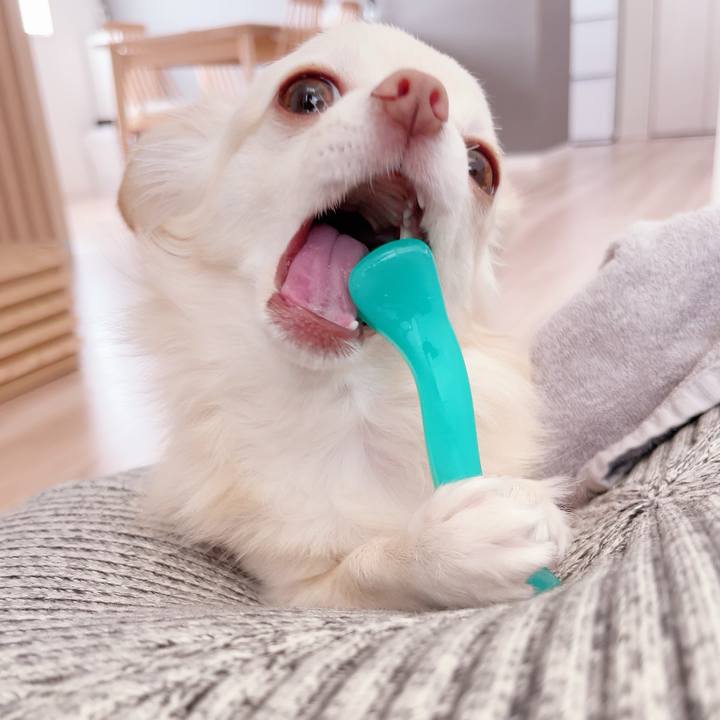 973e2a90 88a2 4143 b975 da9be29ba0ed 1693385161156