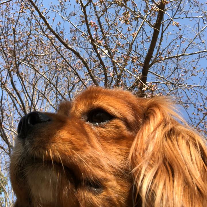 973e51aa 5d3a 43cd b01d 785f94866107 1584747982696