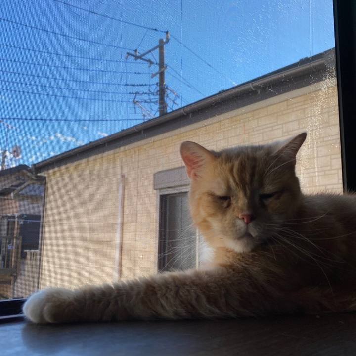 973e971b 915c 4c1b bb53 ecbc70d2da82 1660957008961