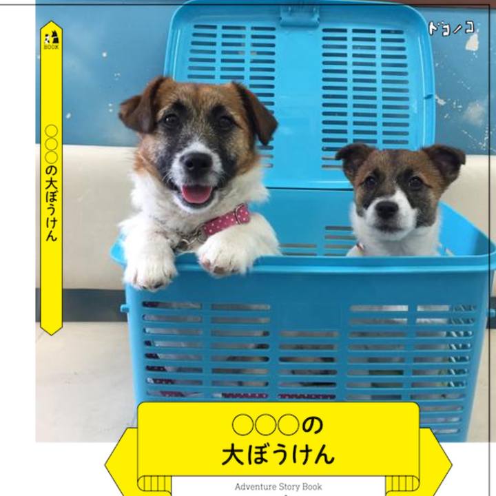 973e9f2d 68db 4bde 8e85 054098465237 1621481732125