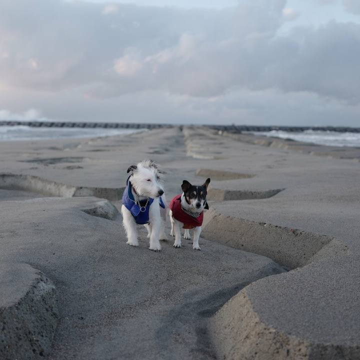 973eb17d ca84 462a a3f4 27a1c9c75c60 1519015547967