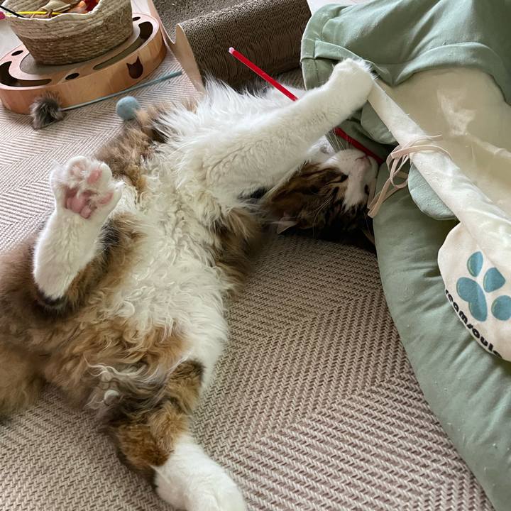 973ed19c 31aa 4035 a3bc 57d35e50fc1d 1654113923552