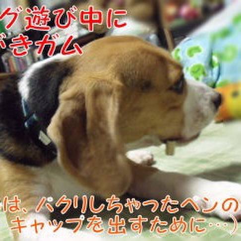 973eda25 25f1 4d76 8372 81391c66107c 1697760866215