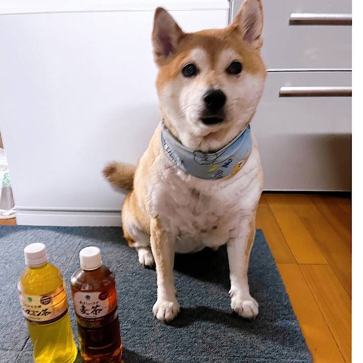 973ee8d3 7cd8 4c19 b6a6 d557c026f403 1722508629012