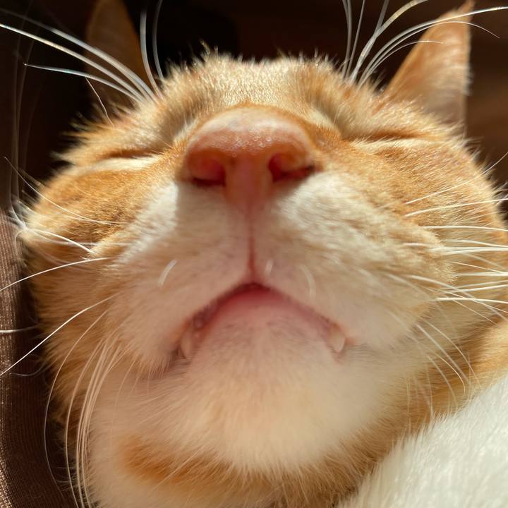 973f322b cd97 4dde b797 5d9ddb067111 1613193562269