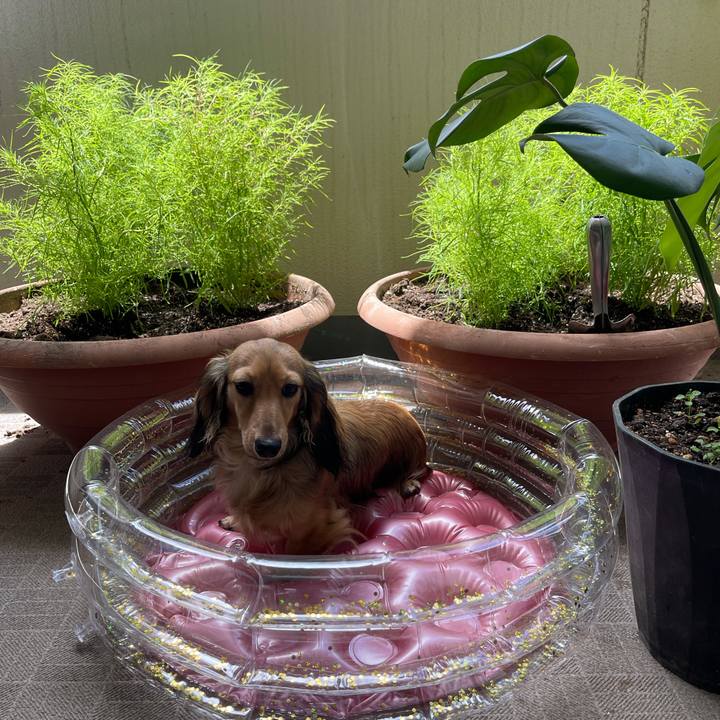 973f4b05 778a 46e7 8ced b9ccbd3ef653 1627955987521