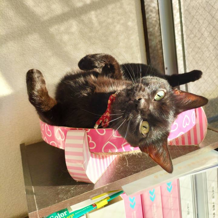 973f4db4 4126 4b54 abdb 7775572b8f3d 1671923656098