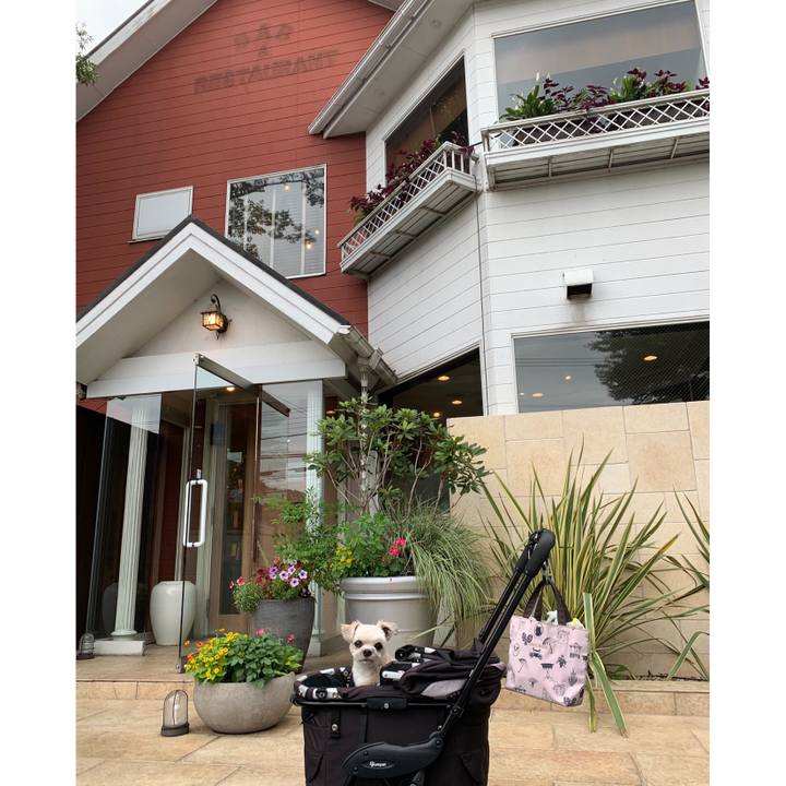 973f71a1 0793 4210 ad75 d9d742ab412c 1562405418850