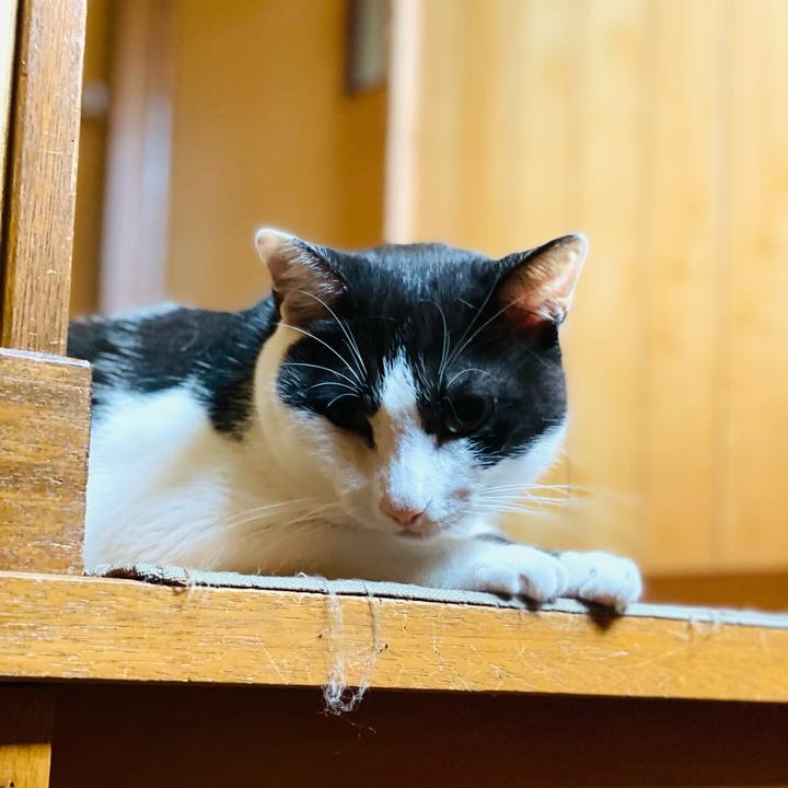 973f9c31 fa1b 468b 82a6 95080e19f9b7 1662601969981