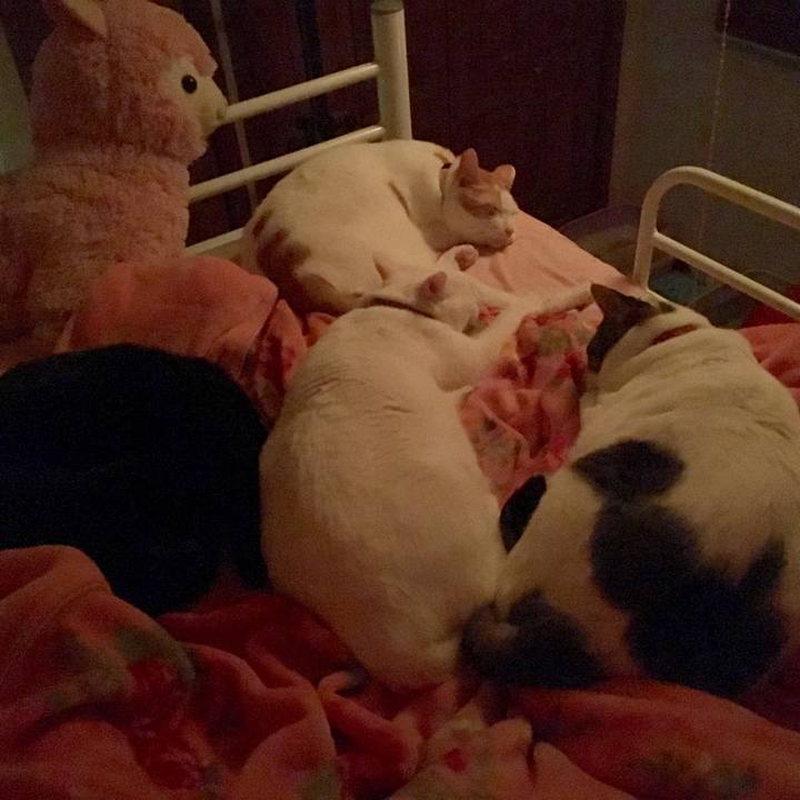 973fce2d 15a5 431a a51a cfc931bd21b1 1514389410162