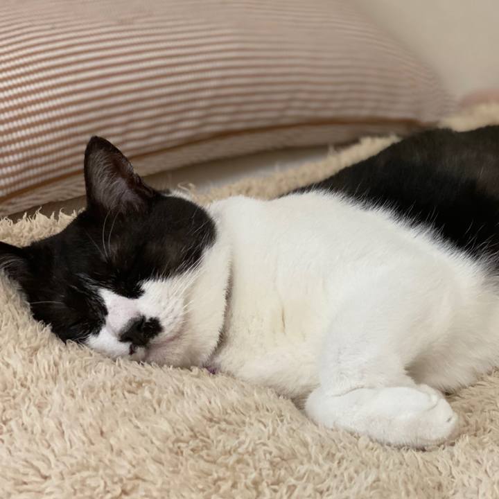 973fd497 cdf5 41d0 9820 cd3e62ff2252 1600431714832