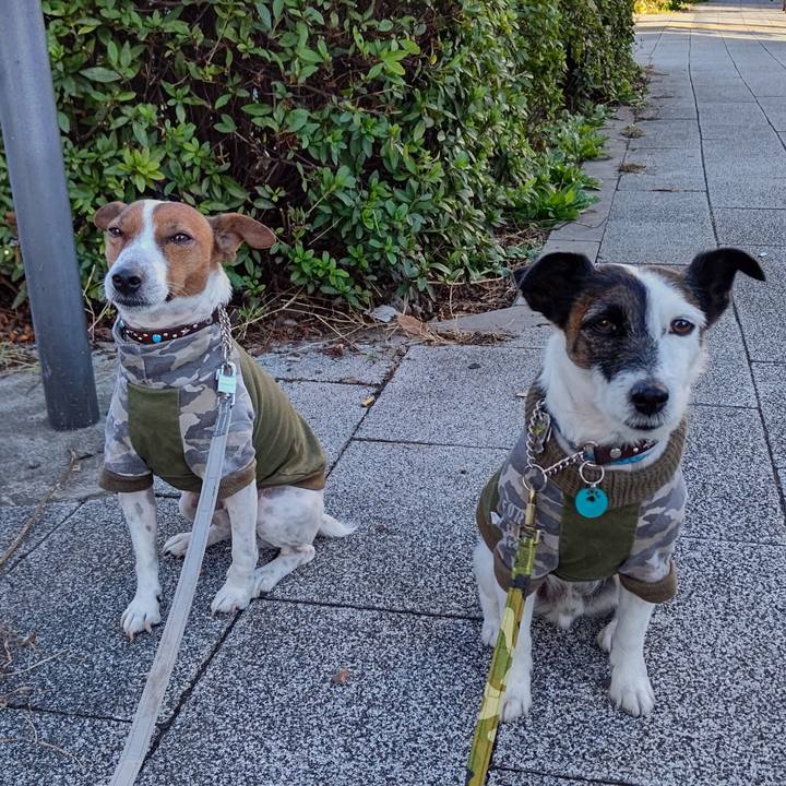 9740112e 4d13 4ce4 a74a d6fe4b4aa8aa 1666219169812