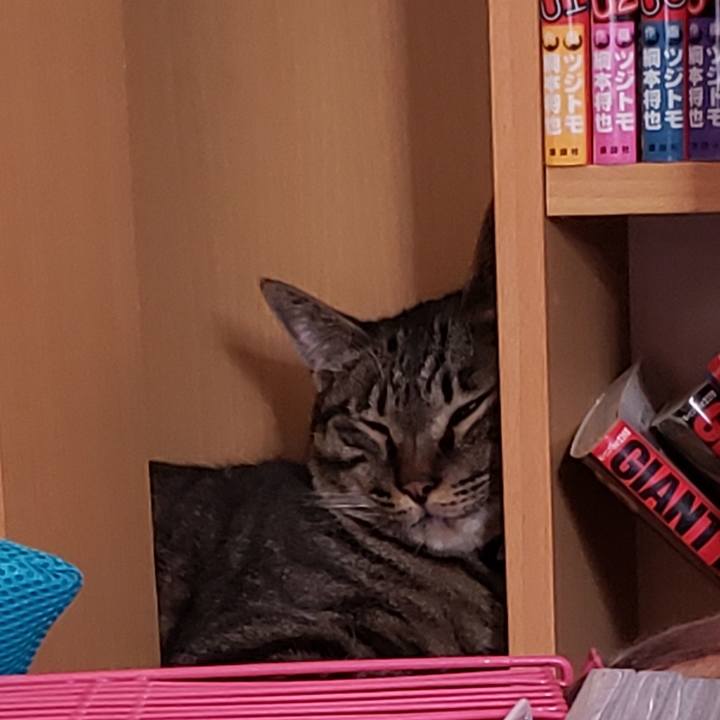 97403b95 e93c 4035 a759 7c7187dead92 1563393716405