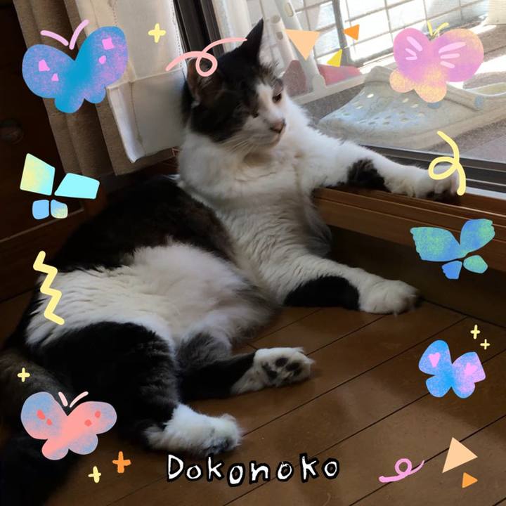 974099d9 4260 41d7 95f9 06ef9e5d0148 1711153546529