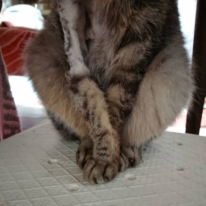 9740ffd8 7d07 49f2 9f0b eef75bf403cc 1589576713074