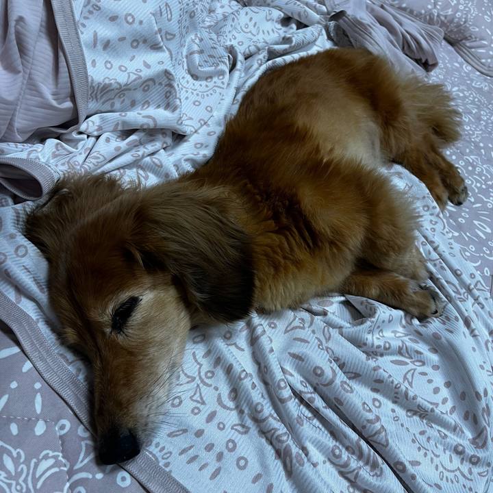 974109b3 b956 4e4c 8285 3eb9930e7fbd 1657547134466