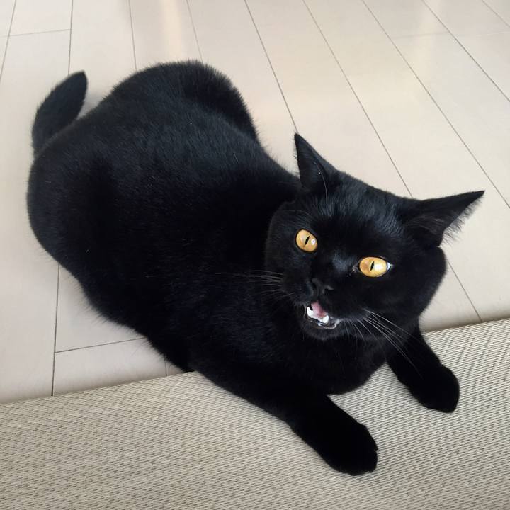 974154c7 15c8 4155 b5d5 3eade31897ad 1536829660808