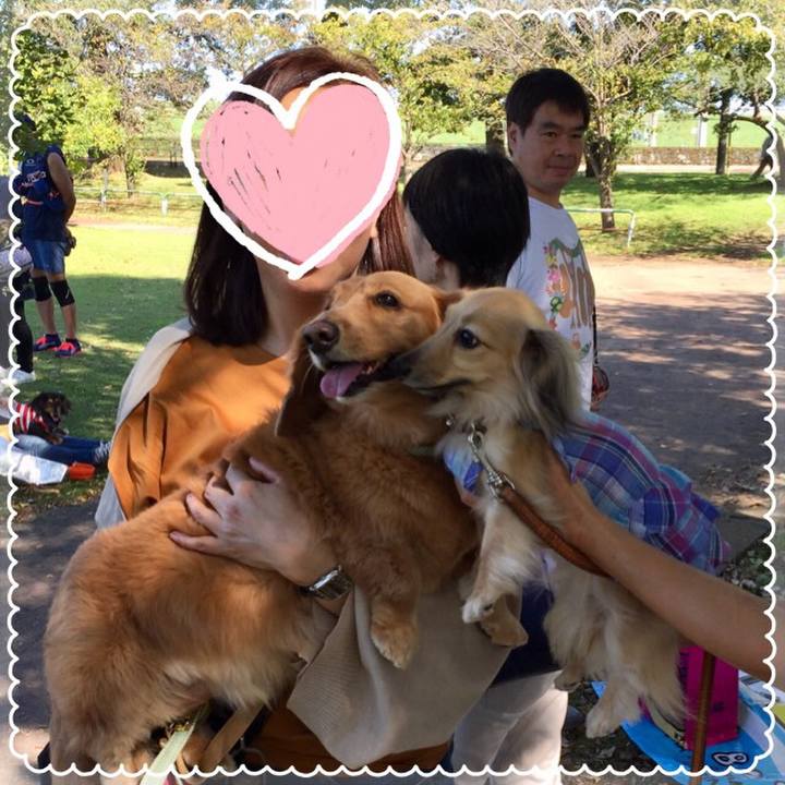 97416f7c b290 4506 b9dc d456af504461 1538906939325