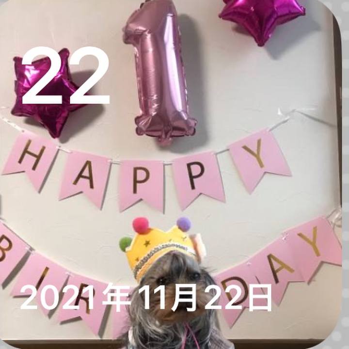 97418afe 076d 4137 a35a 7a21f6b99fe4 1669116232779