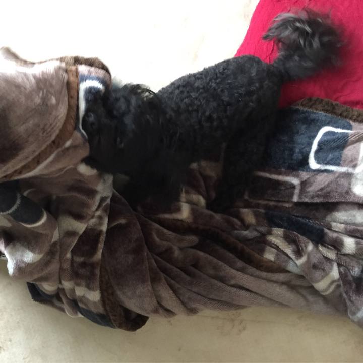 974193e5 4e1a 4090 8280 b292681d1fe4 1522148959141