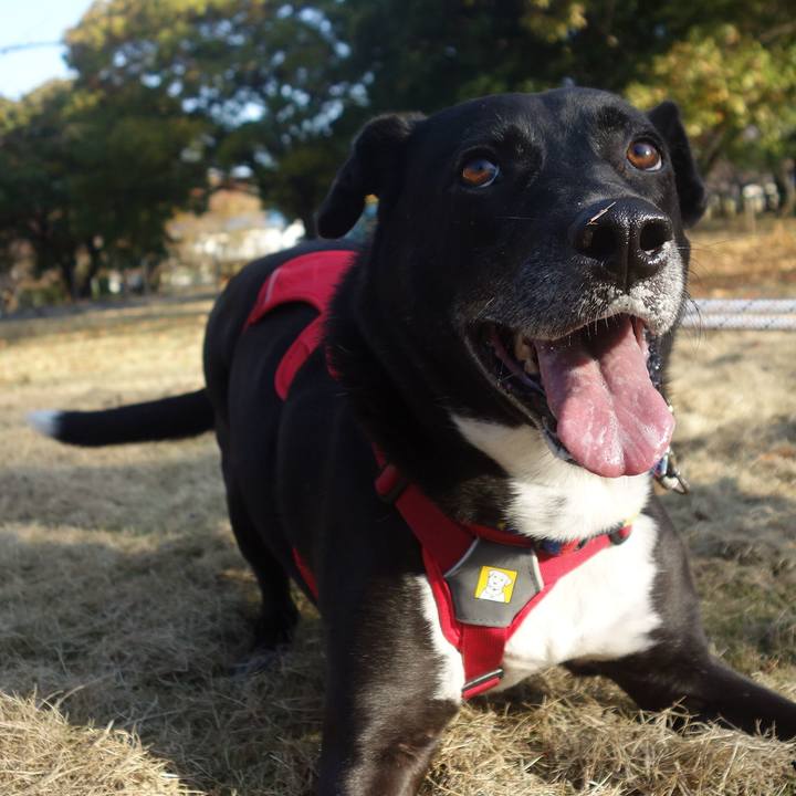 9741ba6a 0e9f 445a a73e acce37934e2f 1668043374254