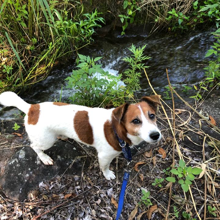 9741bf9e 4ef4 44a6 b288 a11dc88dcbb1 1604902383280