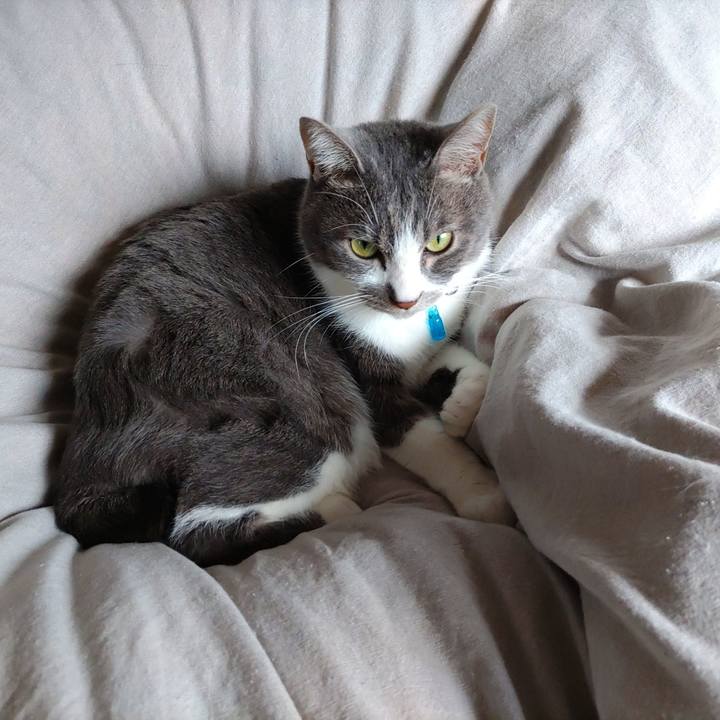 9741e034 814c 4074 82a3 7bebc6746b7e 1669431012574