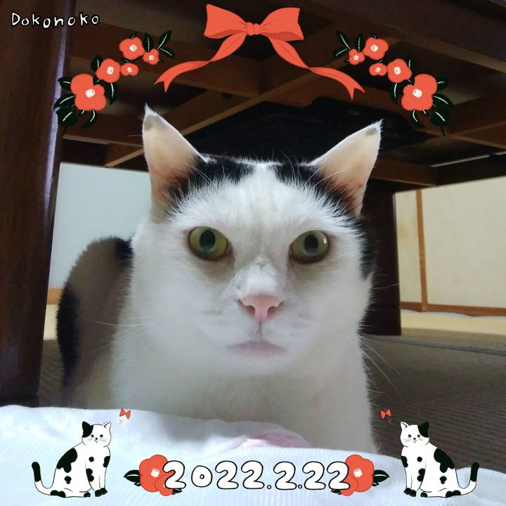 9741f86a d556 4843 88de 35d7dff20dee 1645507714560