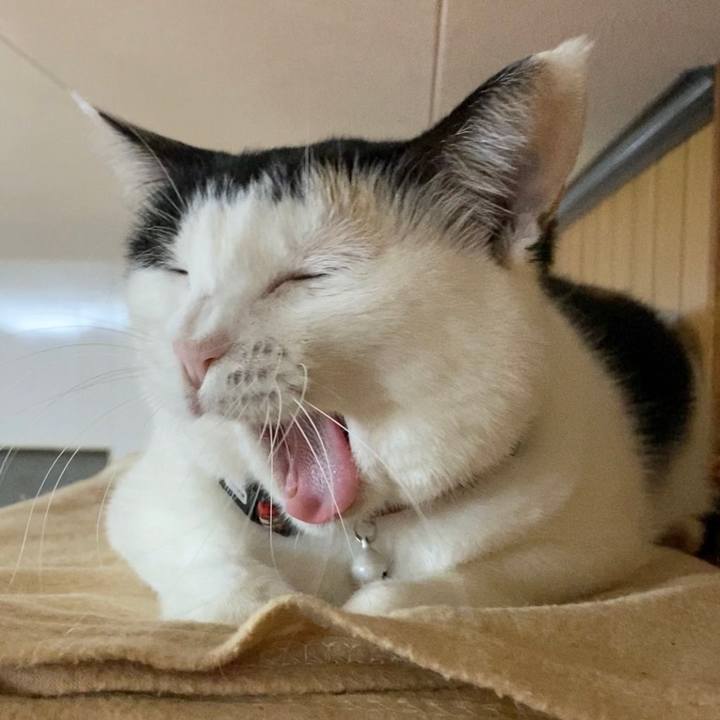 97420aeb 5d49 41ad aeb4 08d3d378aaa6 1668982469366