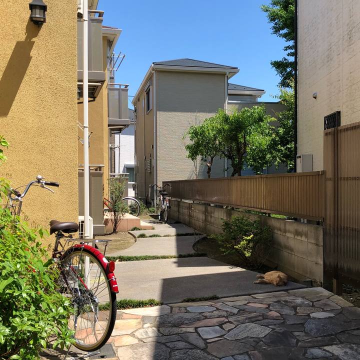 97425cae 9f7e 407e a985 b14088d7180b 1525418980070