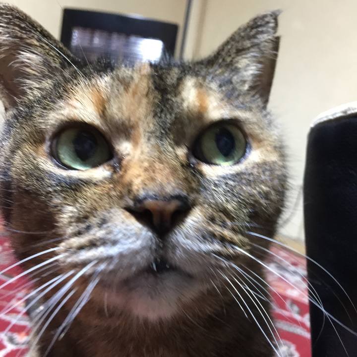 97426f74 21da 462b a523 0981655d9793 1609584534316