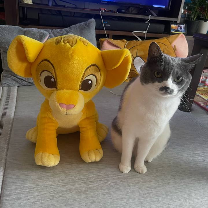 97428dfc fd88 4f8e 85db 911537859e9b 1752474329211