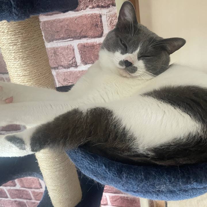 974292f2 16ca 4f69 9593 51d6a0dd832f 1628989011518