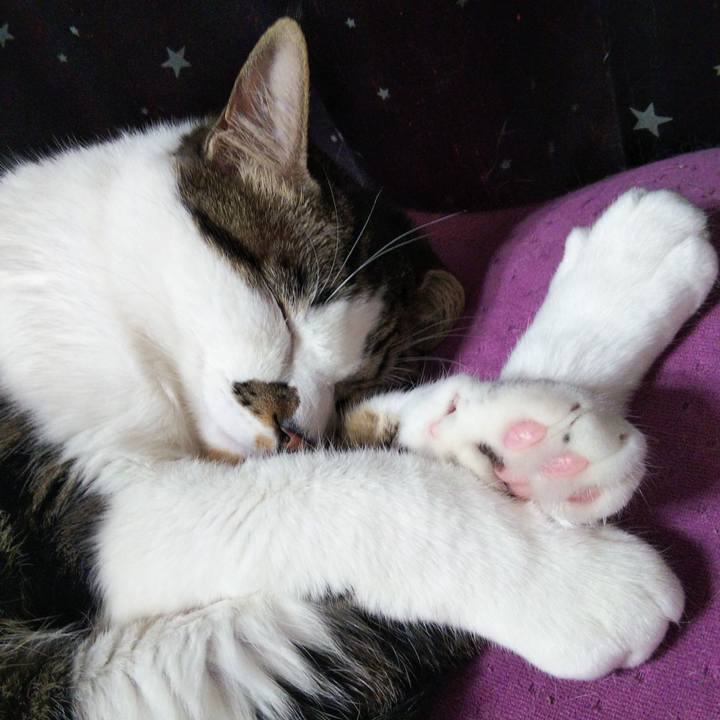 974306f4 0798 49c0 8691 3fa34891fc88 1638586173311